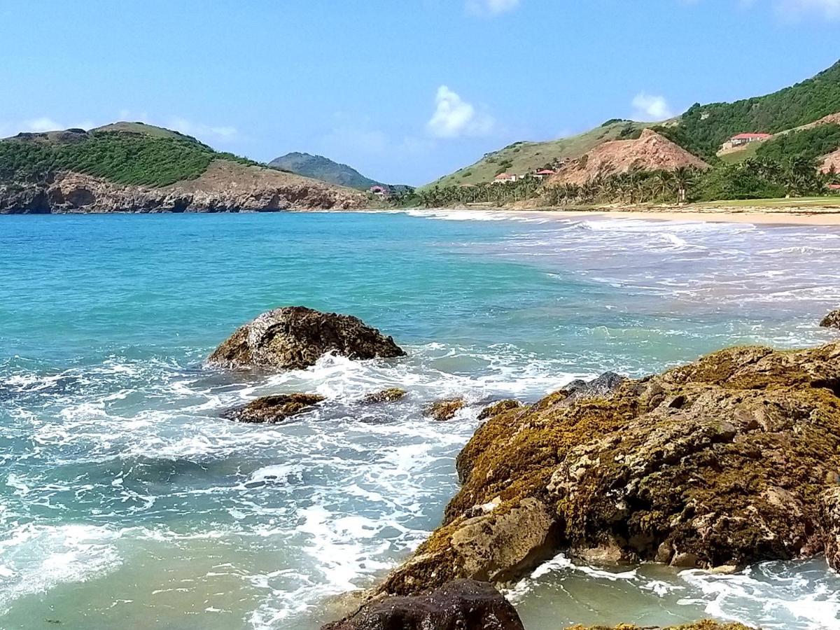Studio Grande Anse Terre-De-Haut Exterior foto