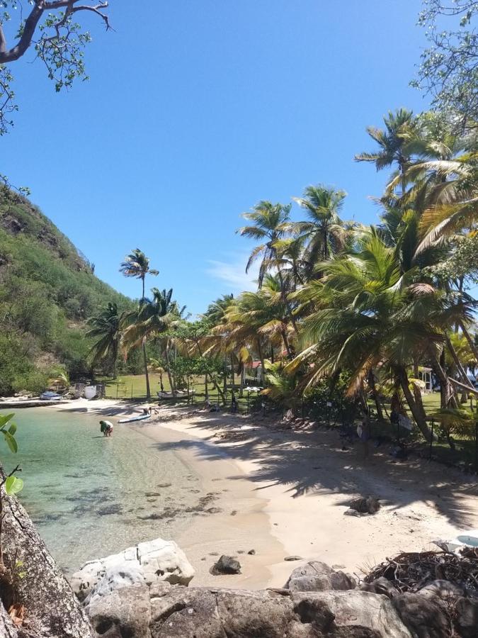 Studio Grande Anse Terre-De-Haut Exterior foto