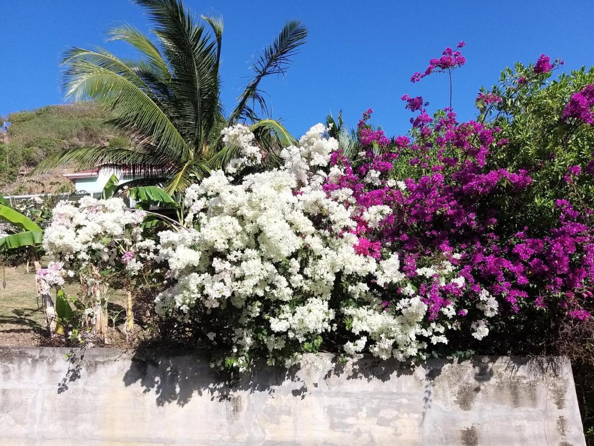 Studio Grande Anse Terre-De-Haut Exterior foto